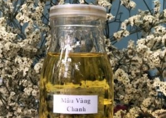 MÀU VÀNG CHANH || TARTRAZINE || VMC 101:48 || PHỤ GIA THỰC PHẨM